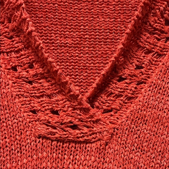 Willi Smith Rust V-Neck Sweater beautiful, crochet, detailed collar - Picture 4 of 5